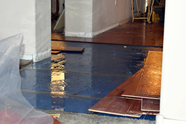 Professional Basement Flood Cleanup technician working in Surgoinsville, TN